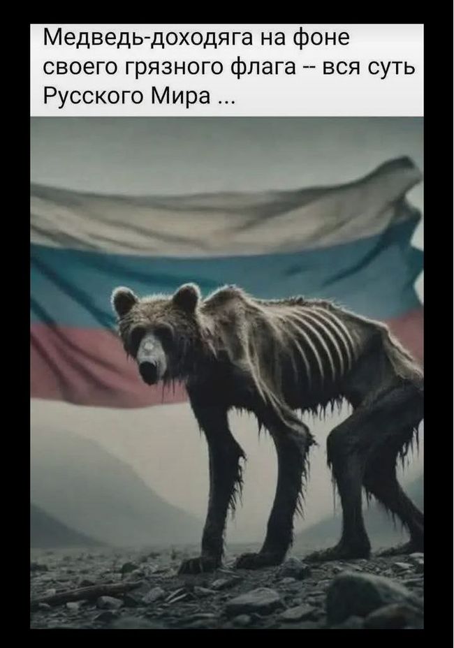 Новини одним рядком