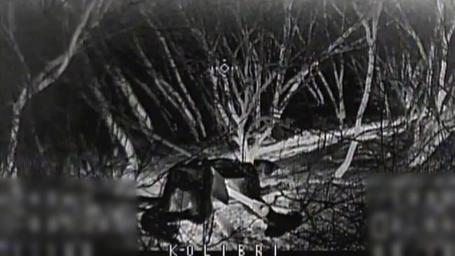 Бойова робота прикордонників (ВІДЕО)