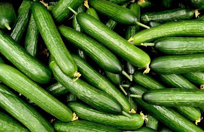 На ринку з’явилися вітчизняні огірки: які ціни