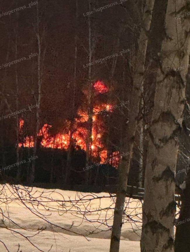 Хроніки ночі. Атака добрих БПЛА Хроніки ночі. Атака добрих БПЛА