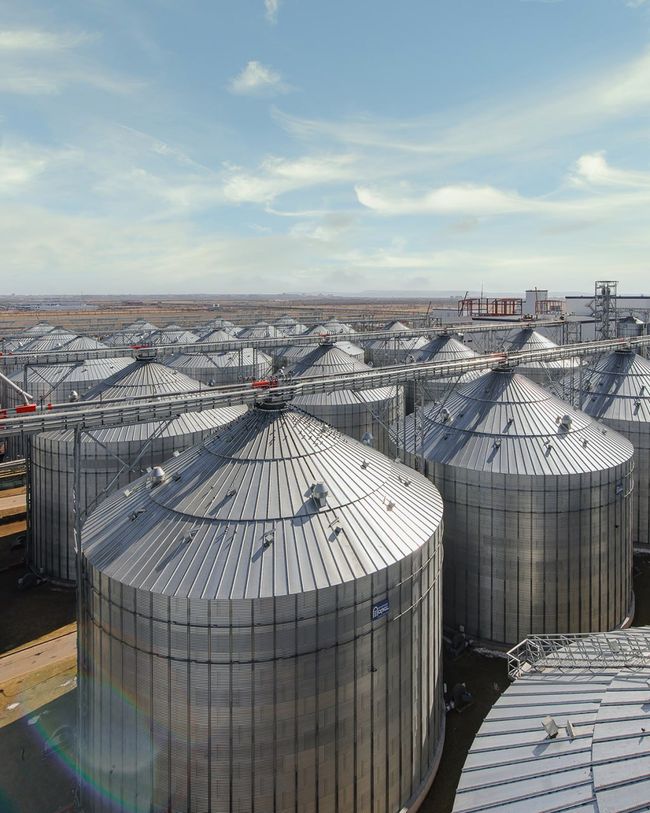 Впав відсоток жирів в маслі у рф