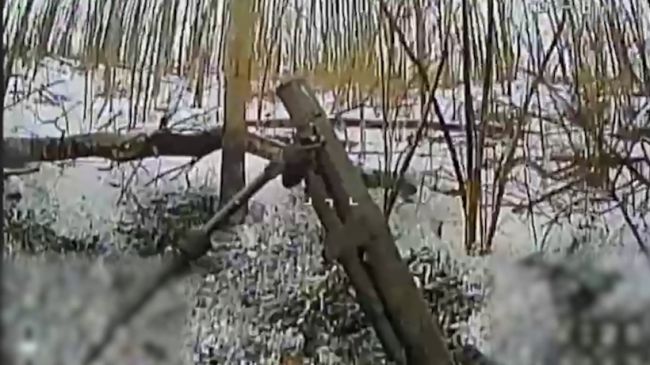 Бойова робота прикордонників (ВІДЕО) Бойова робота прикордонників (ВІДЕО)