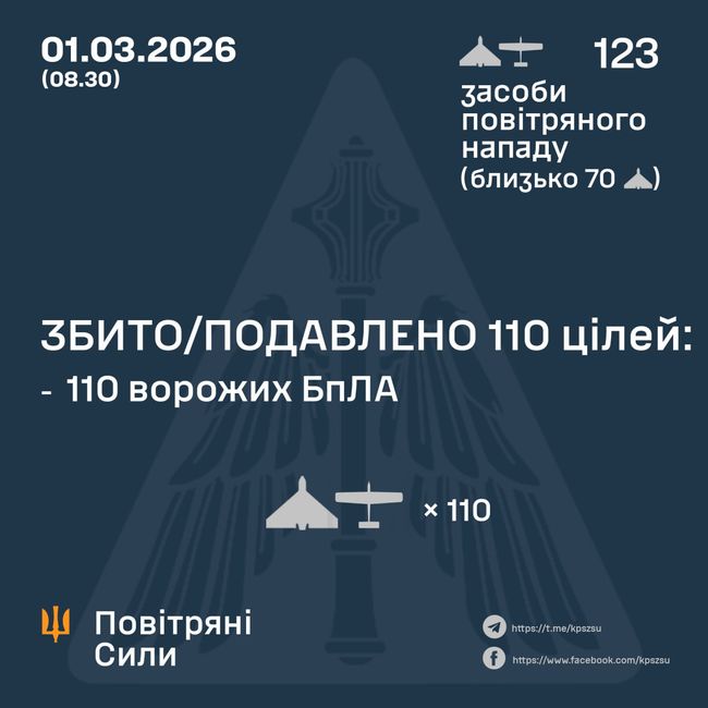 Збито/подавлено 110 ворожих БПЛА Збито/подавлено 110 ворожих БПЛА