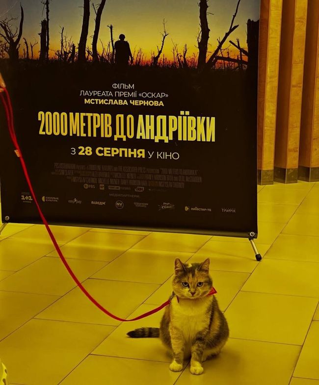 Український фільм «2000 метрів до Андріївки» здобув дві нагороди в США