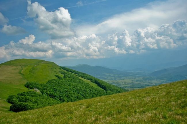 Офіс президента чотири рази відмовив у публікації петиції про захист Карпат, -  Грінпіс Україна