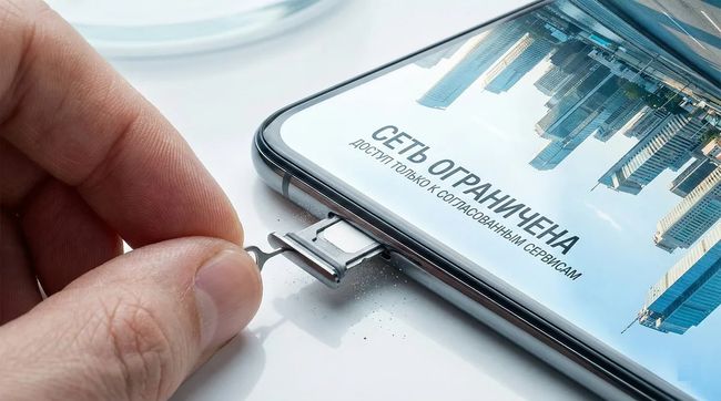 Цифровий феодалізм: як «білі списки» ділять ринок росії