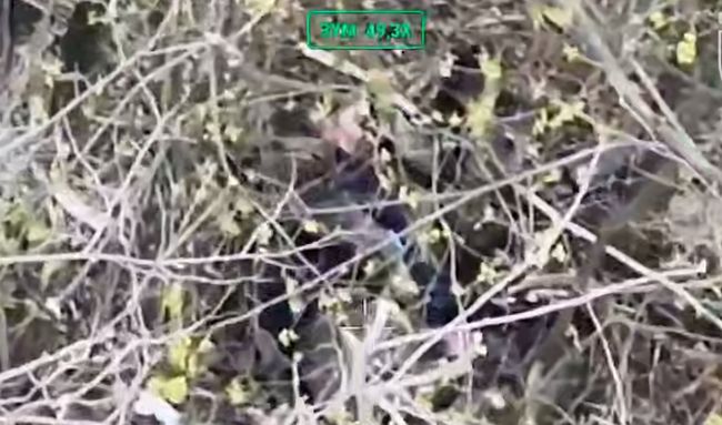 В зоне БД был верифицирован очередной случай суицида у РОВ