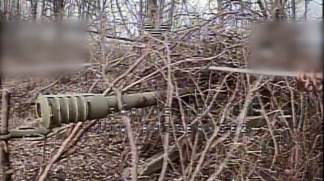 «Фенікс» - добірка найцікавіших уражень за тиждень (ВІДЕО)