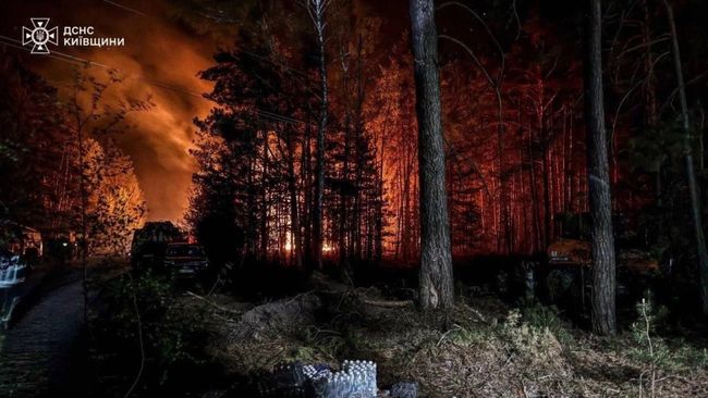 У Чорнобильській зоні четверту добу гасять масштабну лісову пожежу