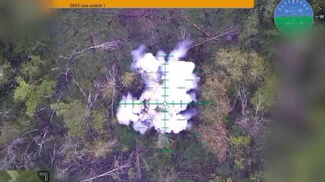 Дрони «Сталевого кордону» нищать ворогів на Північно-Слобожанському і Курському напрямках (ВІДЕО)