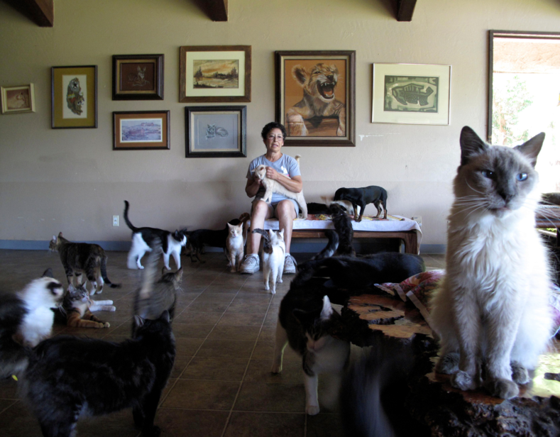Женщина из своего дома сделала приют для животных, в котором уже живет 1100 котов (ФОТО)