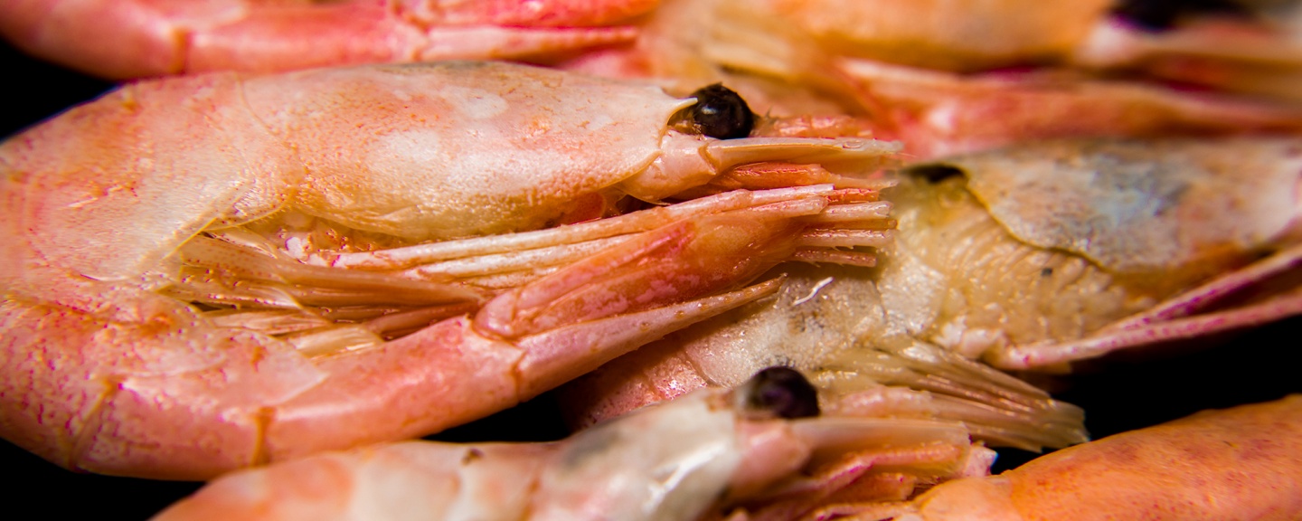Морепродукты: 5 ошибок, которые могут привести к отравлению