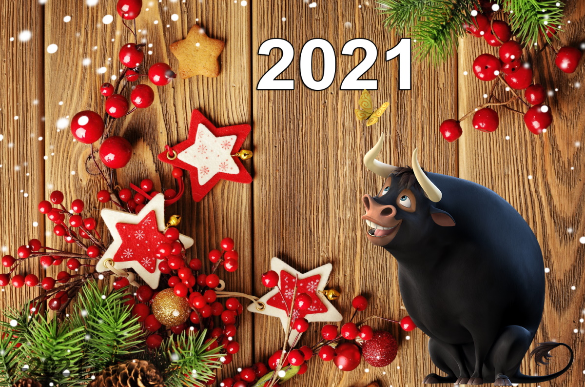 Новый год 2021: что надеть на праздник, чтобы понравиться Белому Металлическому Быку?