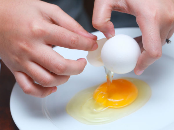 Шпаргалка для хозяйки: как проверить свежесть яиц и как правильно их хранить