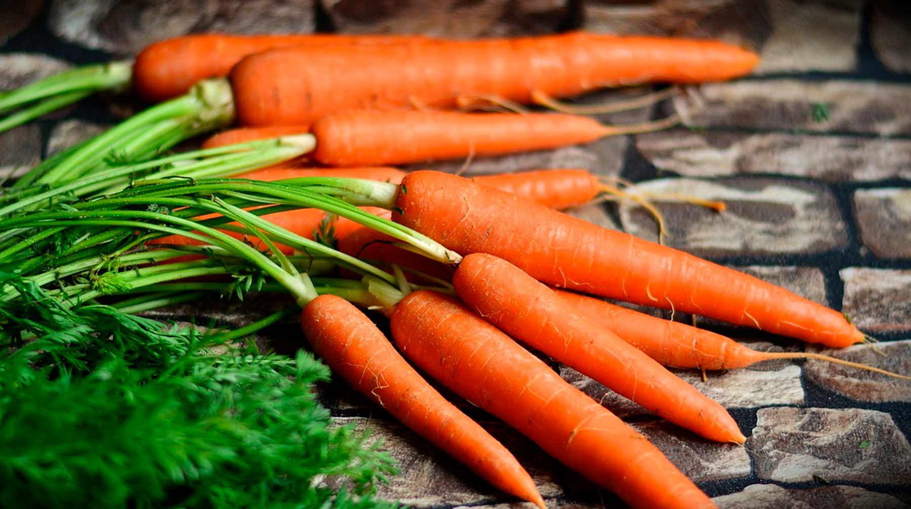 Как успешно и правильно выращивать морковь: от семян к столу