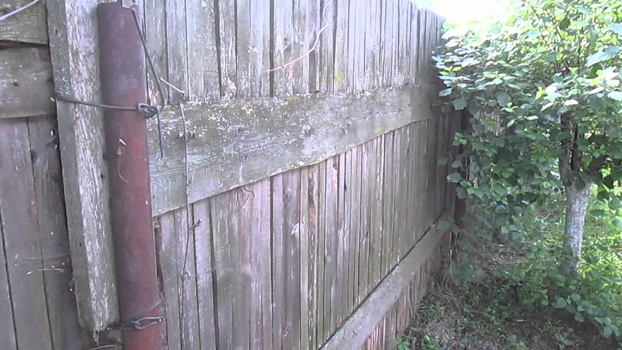 Как убрать зеленые пятна грибка и плесени на вашем старом заборе: совет специалиста