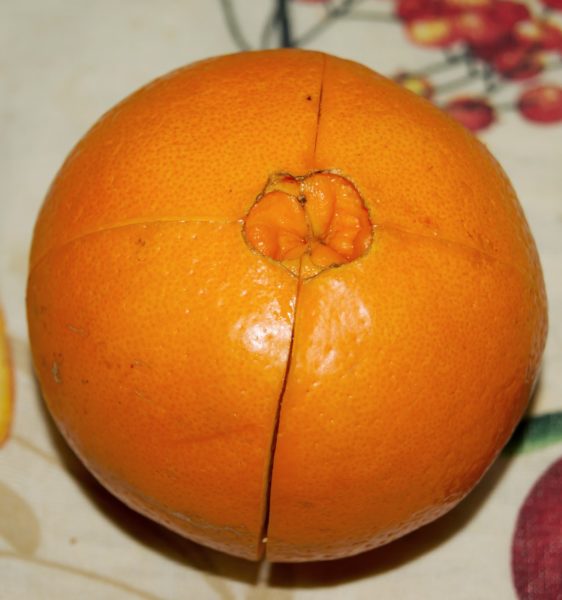 Лайфхак: Не выбрасывайте апельсиновую корку – есть удивительное ее применение!