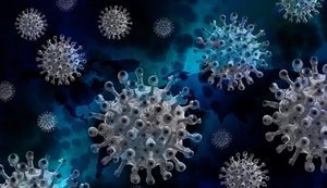 Американские ученые нашли антитело, способное противостоять различным коронавирусным инфекциям 