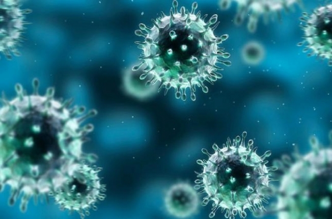 Ученые создали незаразный коронавирус