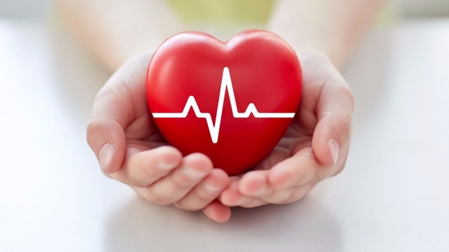 Роль магния и калия в развитии болезней сердца