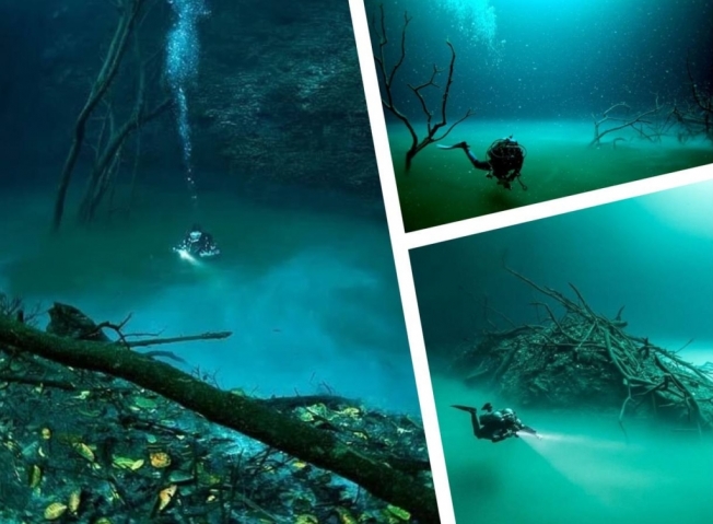 Специалисты обнаружили подводную реку с водопадами в Черном море