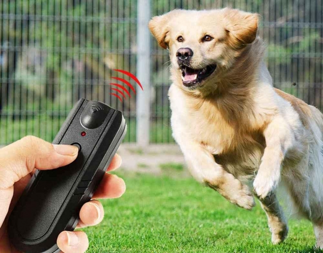 Ультразвуковой отпугиватель собак: как подобрать хорошее устройство