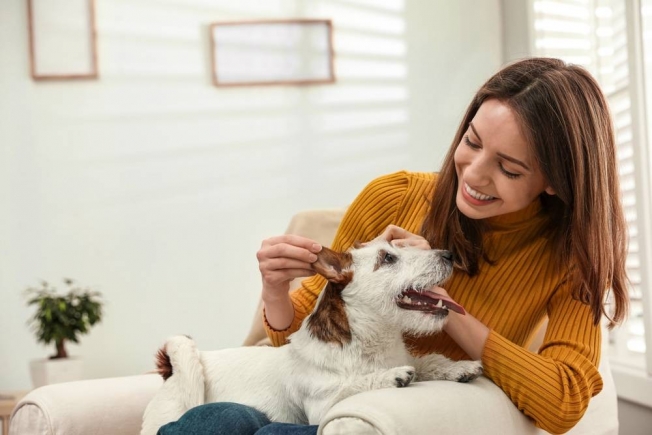 Как заботиться о здоровье собаки