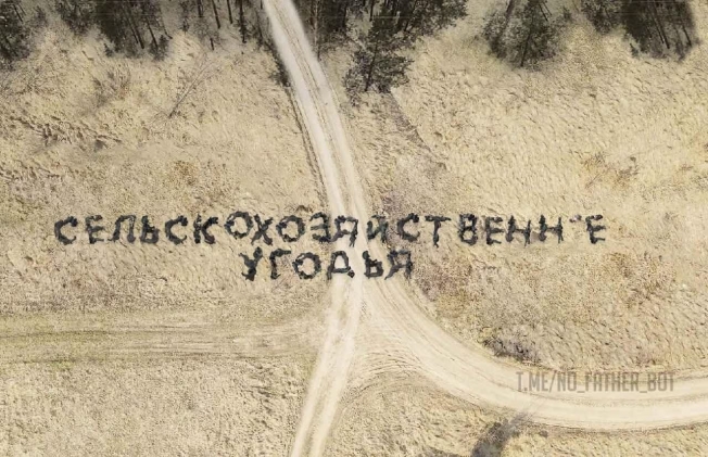 Остап Яриш: Багато заяв від Трампа про Україну і про зустріч з Путіним на Алясці