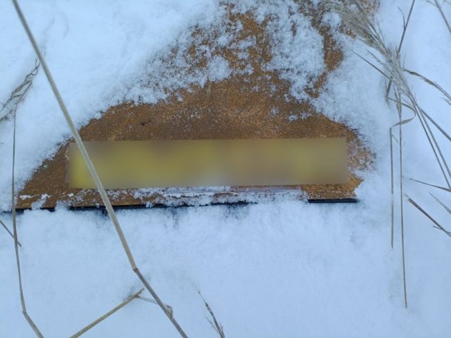 Бойова робота прикордонників (ВІДЕО)