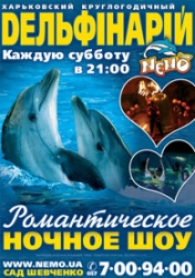 Романтическое ночное шоу в дельфинарии НЕМО