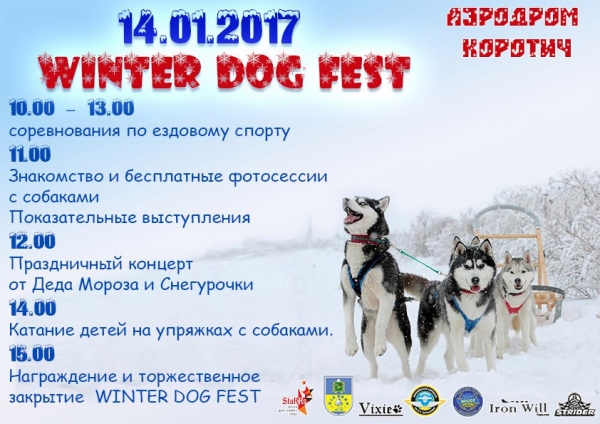 Winter Dog Fest - зимняя олимпиада на собачьих упряжках