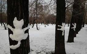 В Харькове неизвестный лепит фигурки из снега прямо на деревьях (фото)