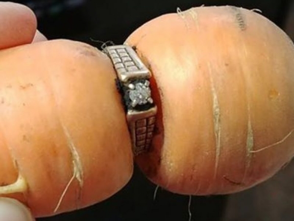 В Канаде к женщине вернулось давно потерянное кольцо — сквозь него проросла морковь
