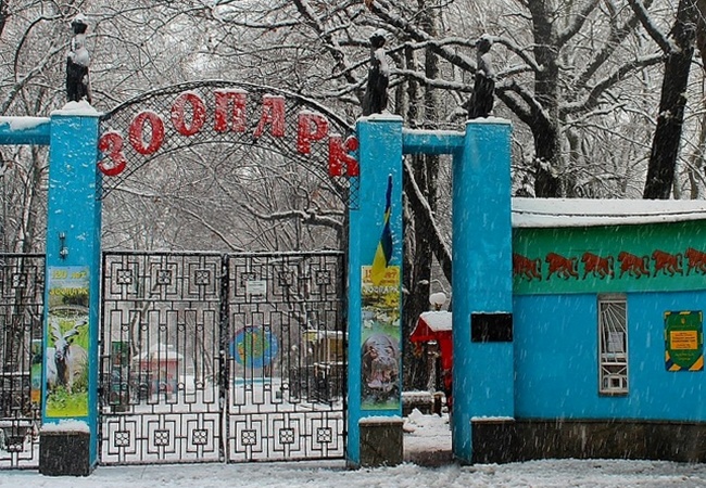 Харьковский зоопарк станет бесплатным, но будет одно исключение 