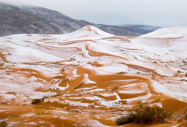 На Рождество в пустыне Сахара выпал снег (фото)