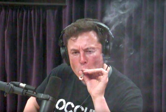 Илон Маск в прямом эфире курил коноплю и пил виски (видео)