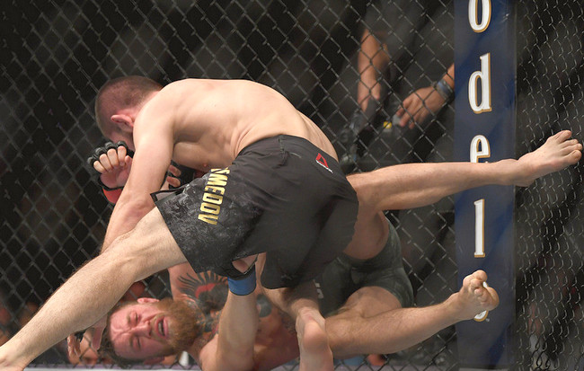 UFC: Конор Макгрегор vs Хабиб Нурмагомедов. Обзор боя и драка после него (фото, полное видео)