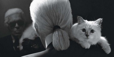 Кошка Карла Лагерфельда запускает линию одежды в память о дизайнере