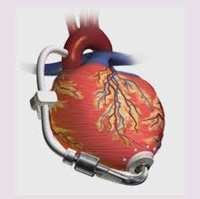 Учёные изобрели дыхательный тренажёр для улучшения памяти и сердца