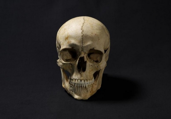 Ученые показали лицо человека, жившего 1300 лет назад: фото