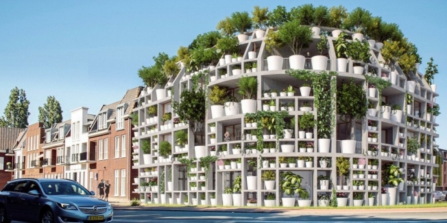 Парк на балконе. В Нидерландах построят жилой дом со стенами из комнатных растений