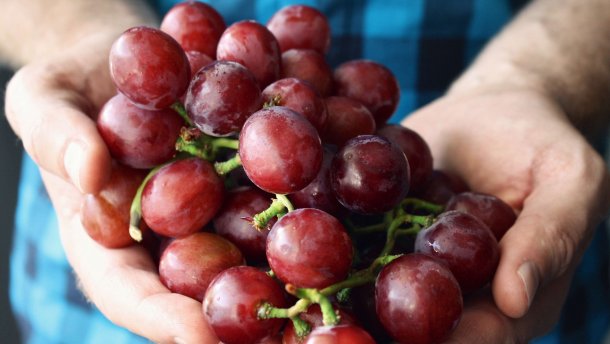 Польза винограда: витамины, минералы, полезный сахар
