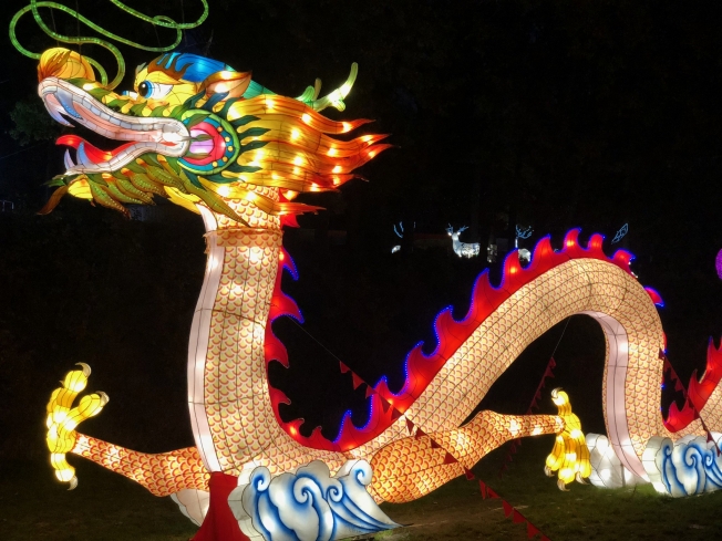 Фестиваль гигантских китайских фонарей смогут бесплатно посетить дети социально незащищенных категорий