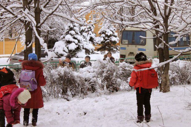 Зимние каникулы: стало известно, сколько будут отдыхать дети. Названы даты