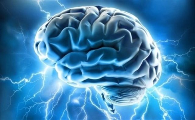 Ученые нашли в мозге человека «зону обороны»