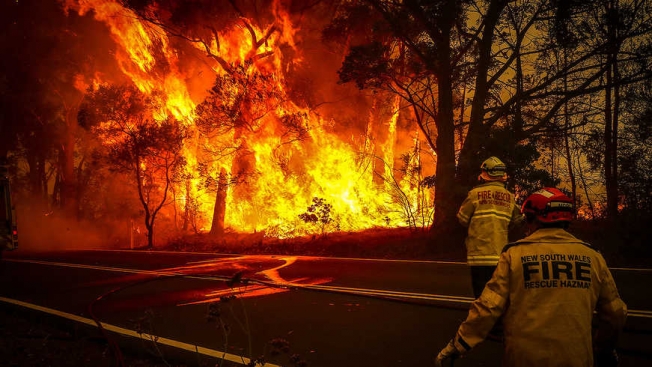 Пожары в Австралии частично прервал долгожданный дождь