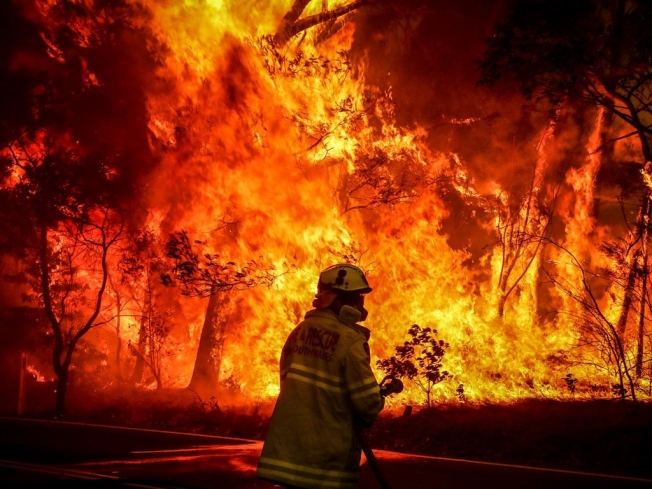 Лесам Австралии понадобится до 100 лет, чтобы поглотить парниковые газы после пожаров
