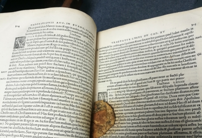 В Кембриджской библиотеке в 500-летнем манускрипте нашли 50-летнее печенье