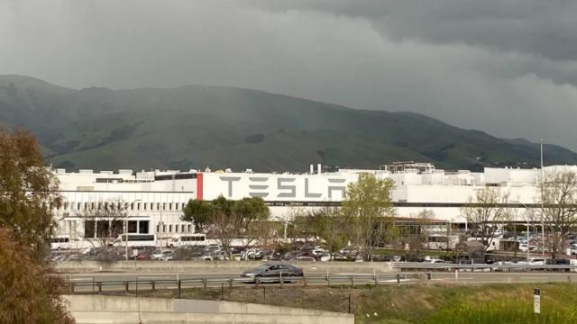 Маск відмовився закривати фабрику Tesla на карантин: компанії можуть загрожувати санкції
