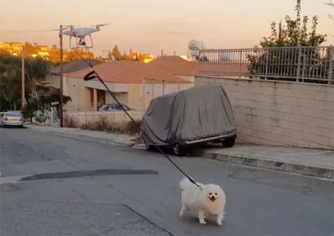 Из-за карантина на Кипре пса выгуливали дроном